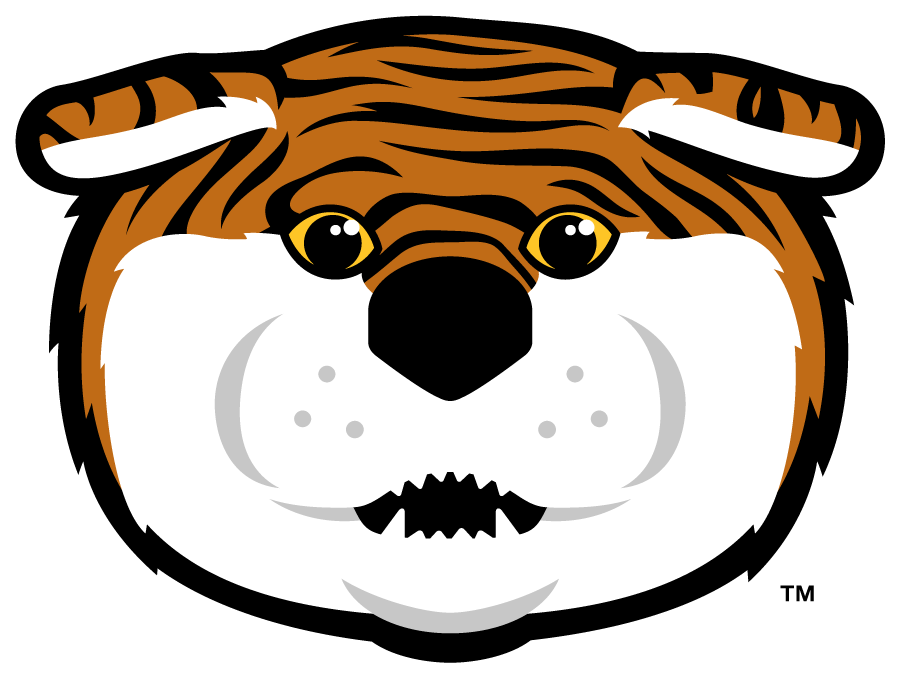 LSU Tigers 2013-Pres Mascot Logo v4 t shirts iron on transfers